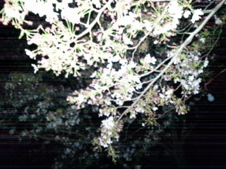 20140408_235140